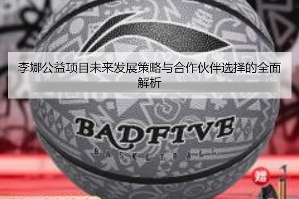 李娜公益项目未来发展策略与合作伙伴选择的全面解析
