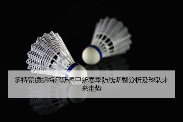 duo-te-meng-de-hu-mei-er-si-de-jia-xin-sai-ji-fang-xian-tiao-zheng-fen-xi-ji-qiu-dui-wei-lai-zou-shi-2-885.jpg